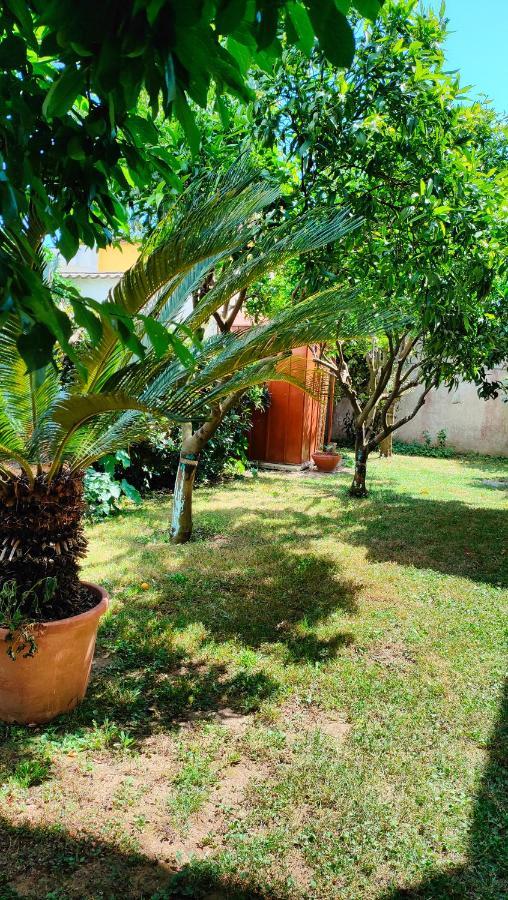 Greenhouse_آنسيو المظهر الخارجي الصورة